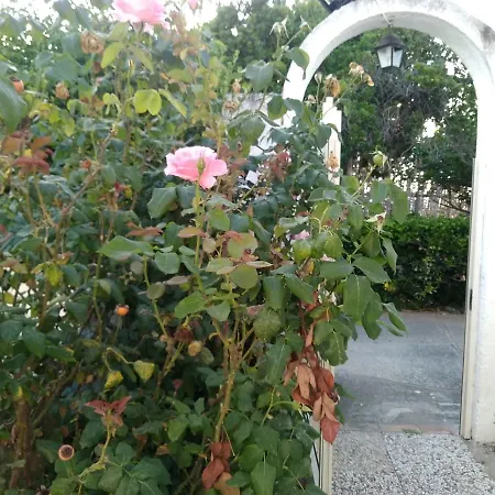 La Rosa *